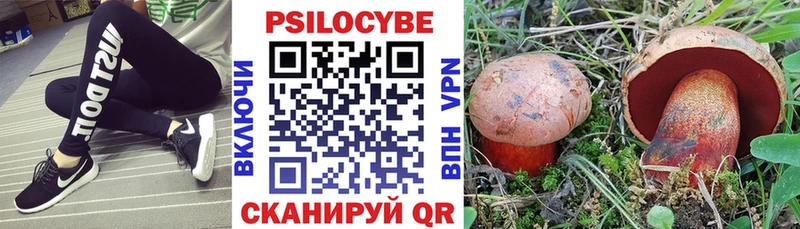 кракен ONION  Баксан  Галлюциногенные грибы мицелий 